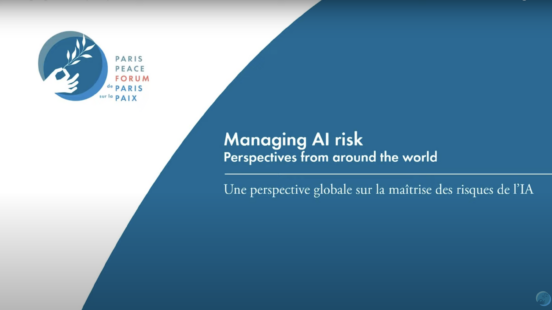 Managing AI risk: perspectives from around the world (at the 2022 Paris Peace Forum)
