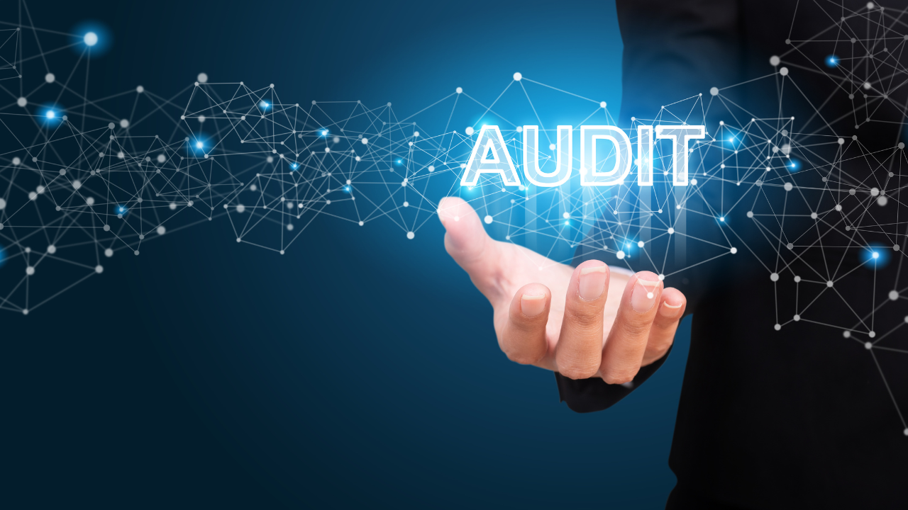 Statutory Audit Reports
