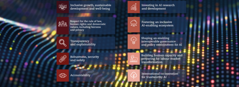 Evolving with innovation: The 2024 OECD AI Principles update