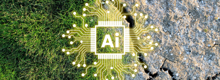 Everyone must understand the environmental costs of AI