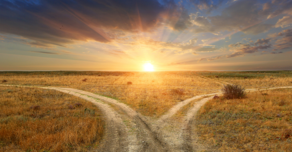 fork in the road sunset or sunrise on horizon