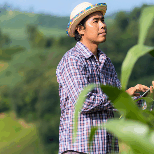 How to govern AI in agriculture responsibly: risks, tools and solutions