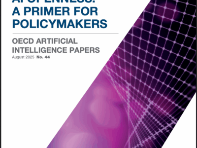 AI openness: A primer for policymakers