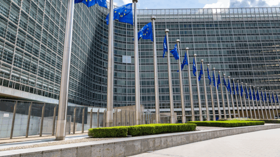 Forthcoming: Progress in Implementing the European Union Coordinated Plan on Artificial Intelligence (Volume 1)