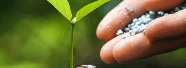AI for inclusive and resilient&nbsp;agri-food systems: Potential ways forward&nbsp;&nbsp;