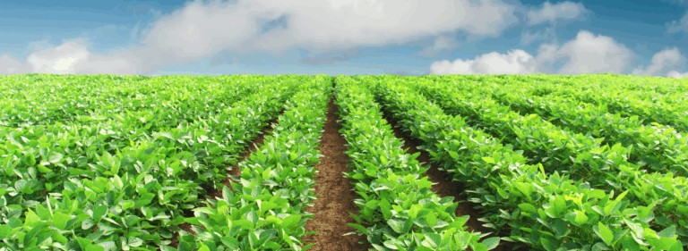 AI for inclusive and resilient agri-food systems: Potential ways forward